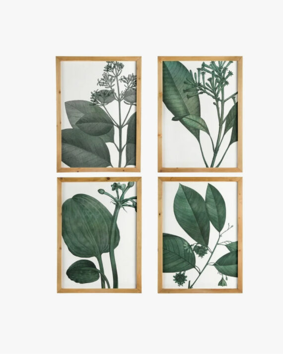 Botanical Wall Decor